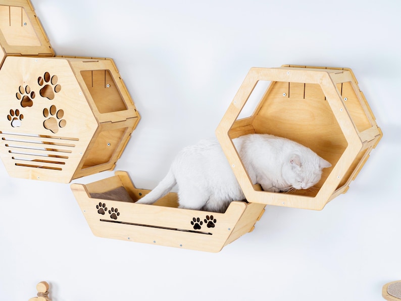May include: Wooden cat furniture set with a hexagonal design. The set includes a cat bed and a climbing structure with paw print cutouts. A white cat is resting inside the cat bed. The furniture is mounted on a white wall.