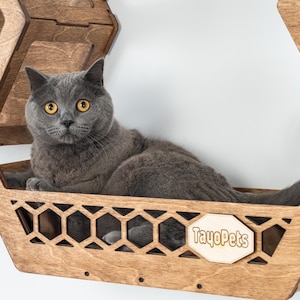 May include: A gray cat with yellow eyes rests in a wooden cat bed. The bed is part of a wall-mounted cat furniture set with a geometric design. The cat bed has a decorative honeycomb pattern and the TayoPets logo.