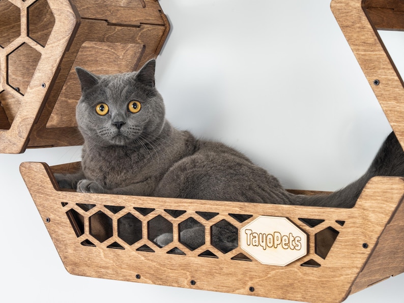 May include: A gray cat with yellow eyes rests in a wooden cat bed. The bed is part of a wall-mounted cat furniture set with a geometric design. The cat bed has a decorative honeycomb pattern and the TayoPets logo.