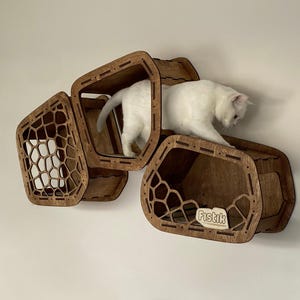 May include: A white cat is climbing on a wooden cat tree with a honeycomb pattern. The cat tree has three levels and is mounted on a wall. The cat tree is labeled "Fistik".