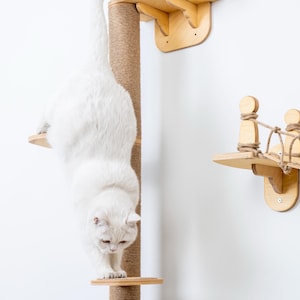 May include: A white cat climbing down a cat tree with a sisal scratching post. The cat tree has wooden platforms and a rope bridge. The cat is the main focus, with the tree and accessories in the background.
