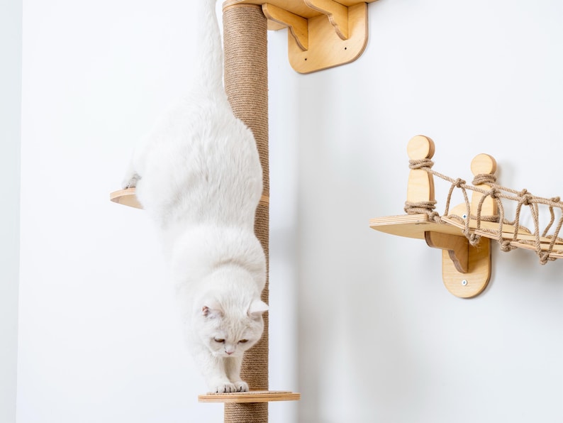 May include: A white cat climbing down a cat tree with a sisal scratching post. The cat tree has wooden platforms and a rope bridge. The cat is the main focus, with the tree and accessories in the background.