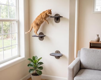 Cat Wall Steps, Wooden Cat Wall Shelves, Wall Mounted Cat Climbing Steps for Indoor Cats