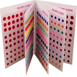 Può includere: Una cartella colori con più pagine di piccoli punti rotondi in feltro di vari colori. La cartella è etichettata "COLOUR ALBUM" su ogni pagina.