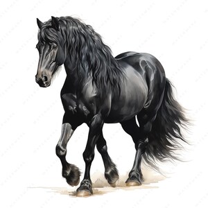Clipart de cavalo preto | Pacote elegante de clipart de cavalo preto | 10 imagens de alta qualidade | Arte Equina | Imprimíveis | Uso comercial