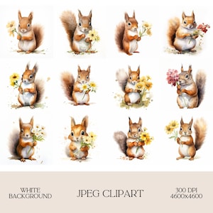 Happy Squirrel With A Daisy Clipart - 12 JPG de haute qualité - Planificateur numérique, Junk Journals, Aquarelle - Utilisation commerciale - Téléchargement numérique