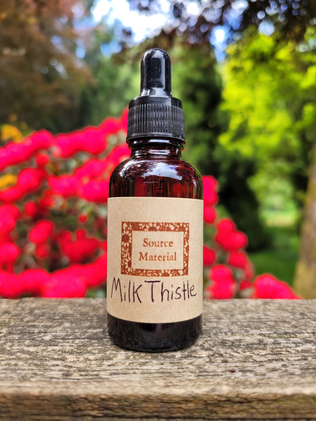 Milk Thistle Seed Tincture & Spagyric Etsy