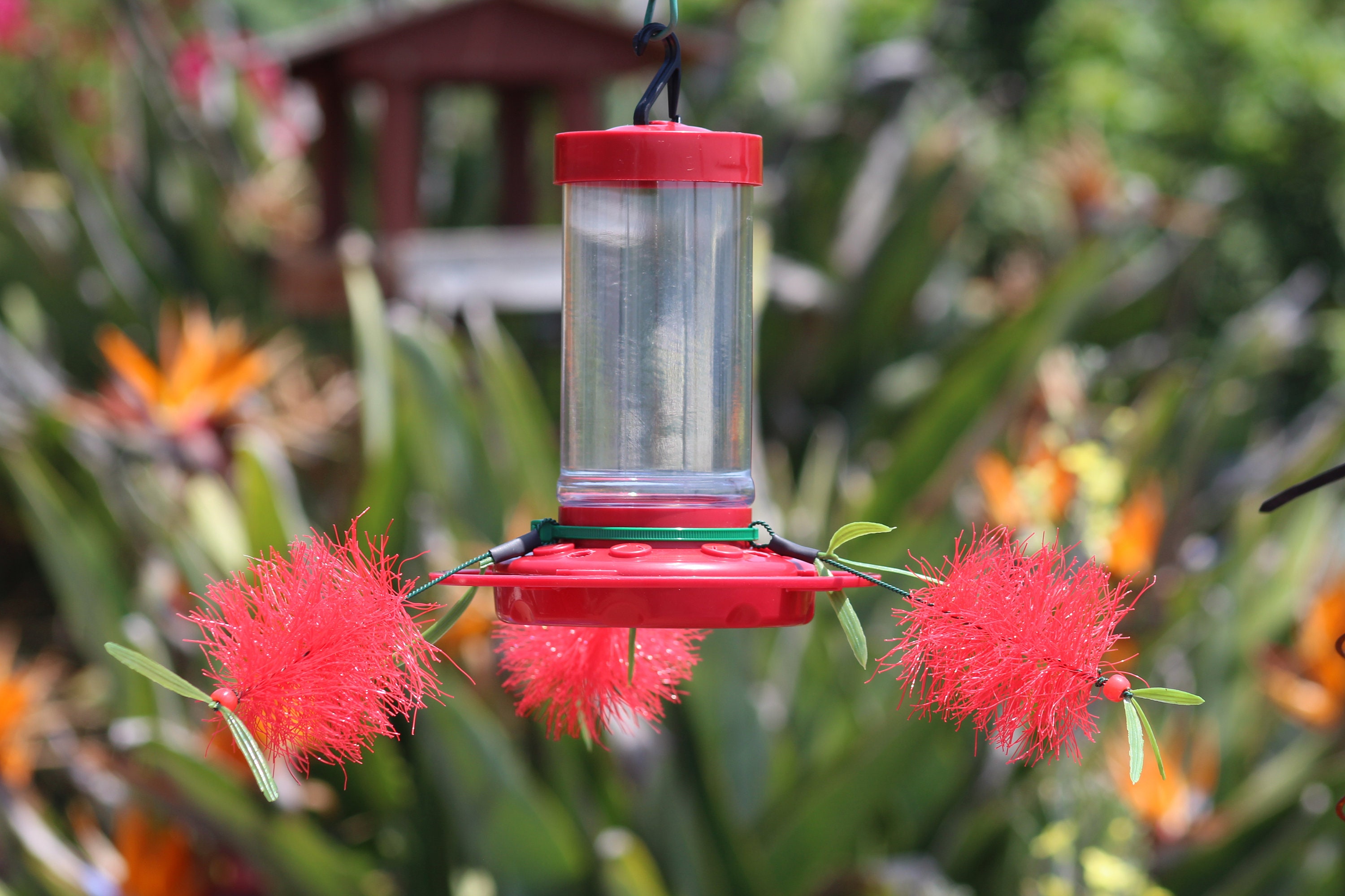 Complete Oriole/hummingbird Flower Nectar Feeder Set - Etsy