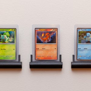 TKG Kartenwand: Graded Slabs & Top Lader