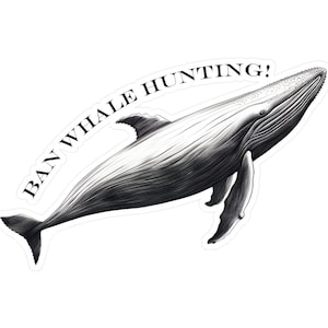 Pegatinas para prohibir la caza de ballenas, pegatinas para ballenas, pegatinas para prohibir la caza de ballenas en Islandia, pegatinas para detener la caza de ballenas de aleta, calcomanías de vinilo resistentes al agua