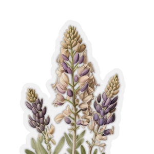 California Arroyo Lupine Wildflowers Stickers, Coastal Wildflowers Stickers