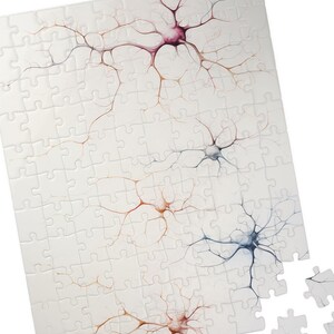 Neuroscience Puzzle, Neurons Puzzle, Science Puzzle, Brain Cells Puzzle