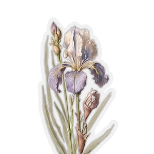 Iris California Wildflowers Stickers, Coastal Wildflowers Stickers