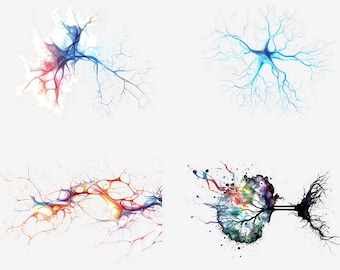 Foglio di adesivi sui neuroni del cervello, adesivi sulle neuroscienze, adesivi sul cervello, adesivi olografici