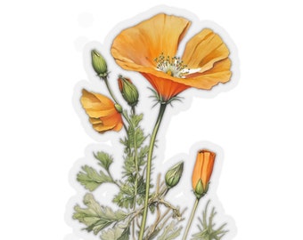 California Wildflower Poppy Stickers, Coastal Wildflowers Stickers