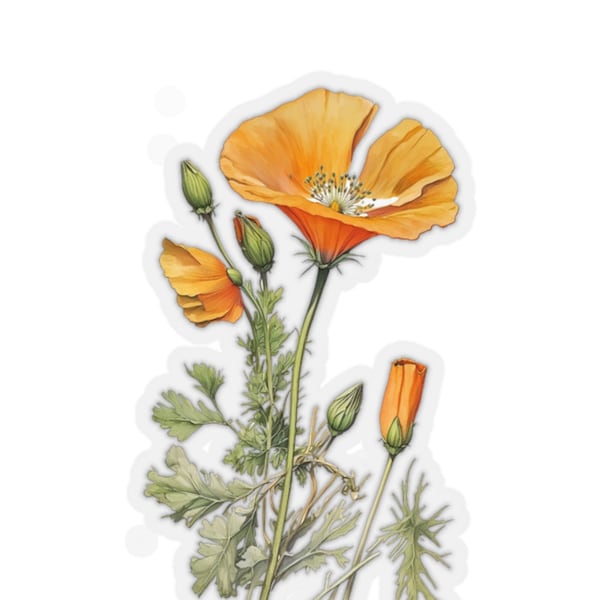 California Wildflower Poppy Stickers, Coastal Wildflowers Stickers