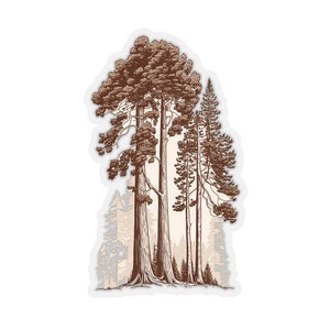 Redwoods Stickers, California's Coast Redwoods and Giant Sequoias
