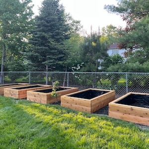 May include: Five raised garden beds made of cedar wood with black landscape fabric lining the inside. The beds are arranged in a row on a grassy lawn.
