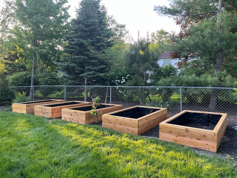 May include: Five raised garden beds made of cedar wood with black landscape fabric lining the inside. The beds are arranged in a row on a grassy lawn.
