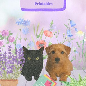 Può includere: Una stampa digitale intitolata "Pet Care Plan Printables" con un gatto nero e un cane marrone circondati da fiori ad acquerello. Un blocco note con "Vet Info, Medication, Holistic Tracker, Routine Logs" è in primo piano.