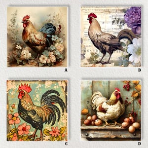 May include: Four square art prints featuring rooster illustrations. Each print showcases a different rooster design with varying color palettes and backgrounds, including floral and vintage elements. The roosters are depicted in various poses.