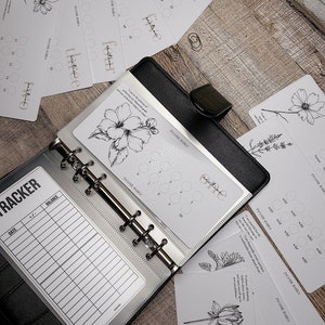 Minimale 100 Umschlag-Spar-Challenge | 10 + 2 Abschnitte mit Affirmationen | A6 Spar-Challenges A4 PDF Herunterladbar