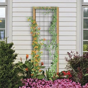 72" Natural Wood Frame Grid Trellis Outdoor Backyard Garden