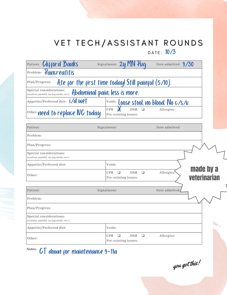 Vet Tech RVT LVT Assistant Patient Rounding Rounds Form ER Veterinary