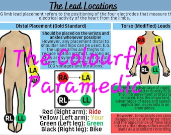 The Three Lead ECG Guide Part One