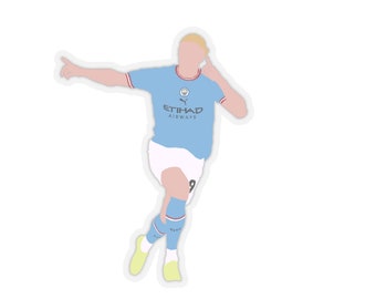 Erling Haaland Vinyl Sticker, Man City Sticker, Haaland celebration sticker, City sticker, Man City fan gift, Football fan gift