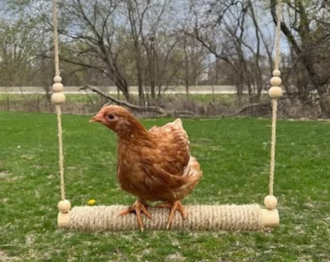 Chicken Coop Swing Chicken Swing, Chicken Accessories, Chicken Toy