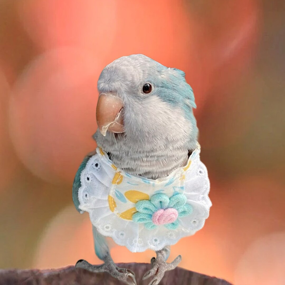 Gentlewoman Parrot Flight Suit Bird Clothes Parrot Shirt Etsy