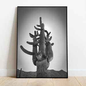Black and White Cactus Print: Saguaro National Park (Digital Download)