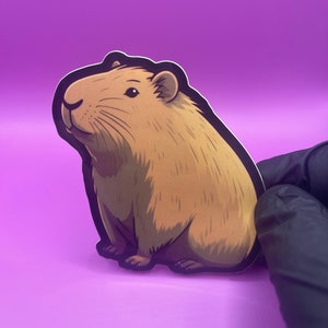 Capybara Vinyl Aufkleber / Autoaufkleber / Laptop Aufkleber / Skateboard Aufkleber / Capybara Aufkleber (1 Aufkleber)