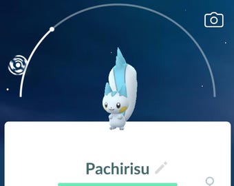 Pachirisu - Regional Pokémon Go Trade