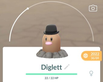 Diglett (hat) - Costume Pokémon Go Trade