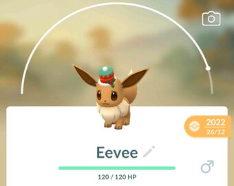 Pokémon PTC GO - Shiny Rowlet Halloween - 80K Stardust Read Description