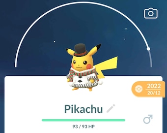 Pikachu Winter Coat (male/female) - Costume Pokémon Go Trade