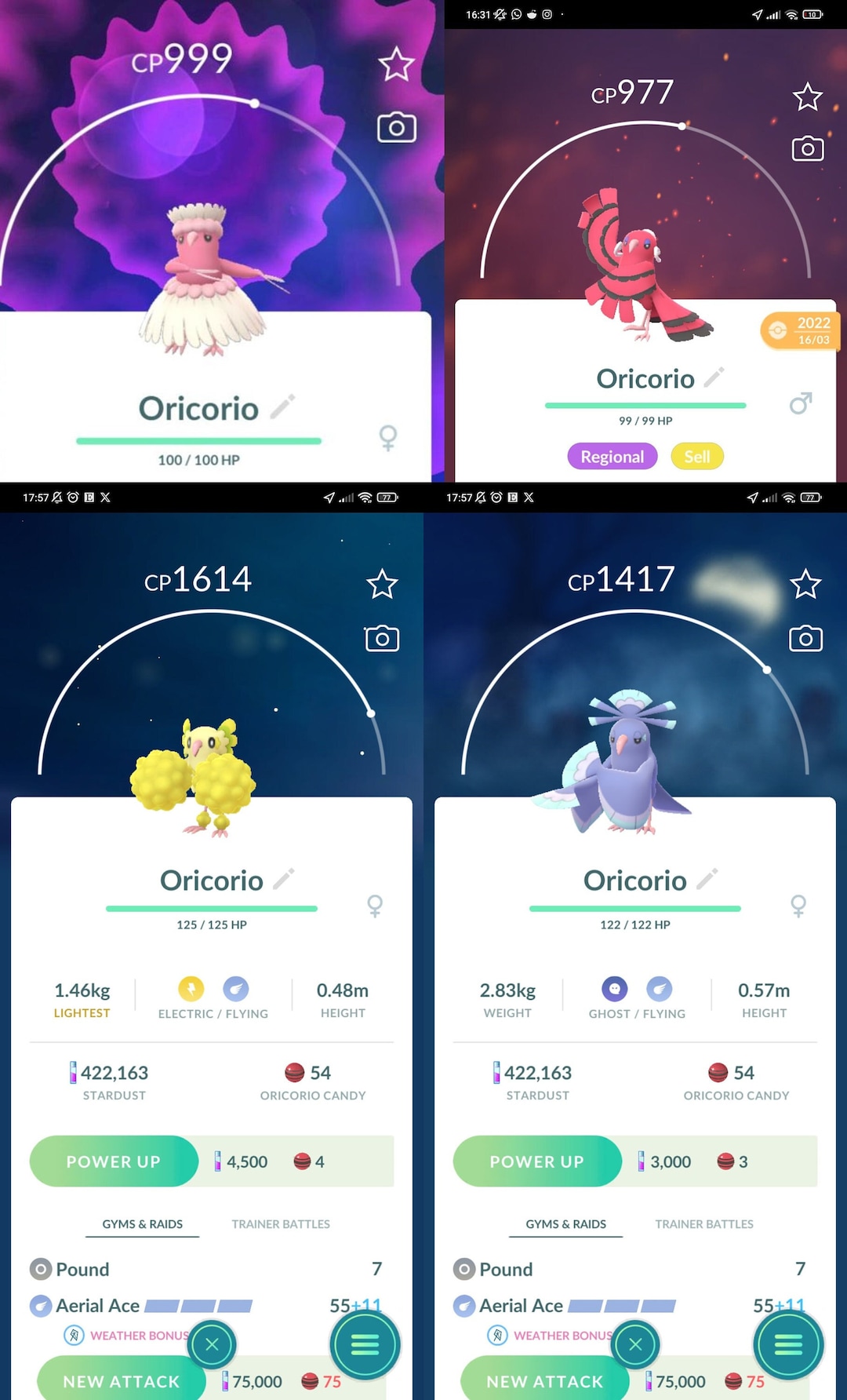 Oricorio Regional Pokémon (all Variants) - Regional Pokémon Go Trade - Etsy