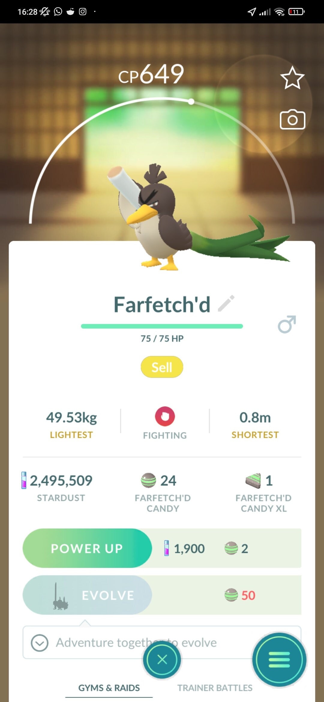 Galarian Farfetch'd Regional Pokémon Go Trade Etsy