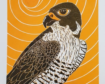 Peregrine Falcon Linocut Print - "Horus"