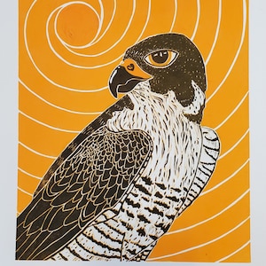 Peregrine Falcon Linocut Print - &quot;Horus&quot; Original Art Print