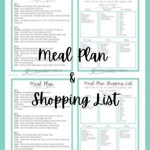 WW 23 Point 3 Days Meal Plan & Shopping List
