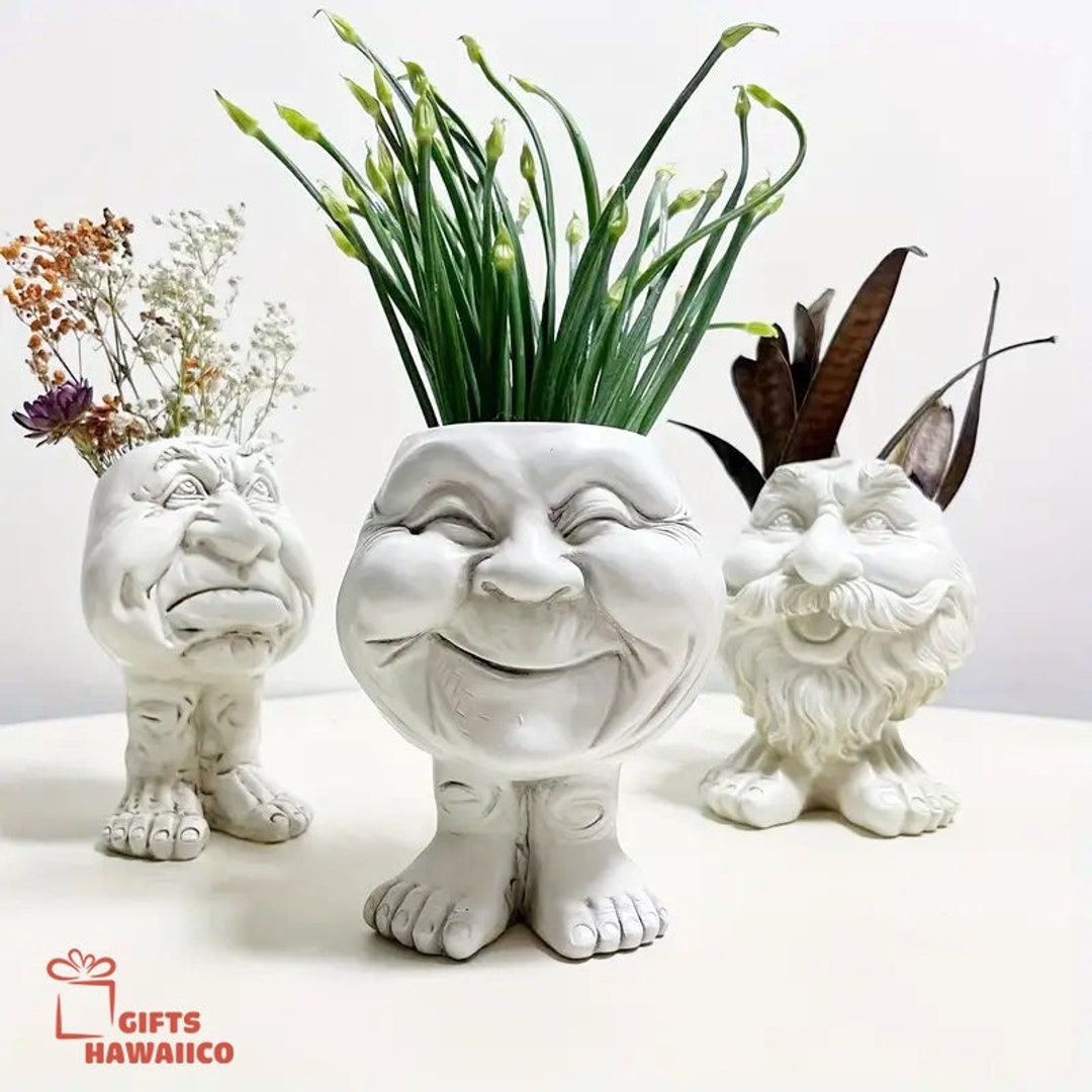 Funny Face Plant Pot Cute Plant Pot Unique Garden Pot Home - Etsy