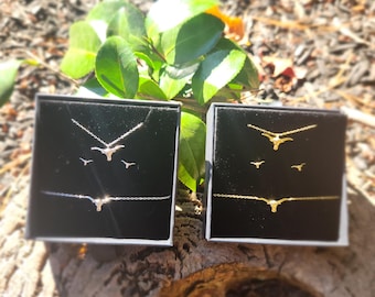 Longhorn set