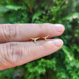 Mini longhorn studs