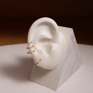 May include: Gold-colored hoop and stud earrings displayed on a white ear model. The earrings include small hoops and delicate studs, showcasing a minimalist jewelry style. The ear model is mounted on a white geometric stand.