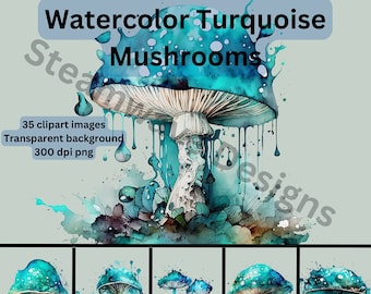 Watercolor Turquoise Mushroom Clipart: 35 PNG Images (Commercial Use)