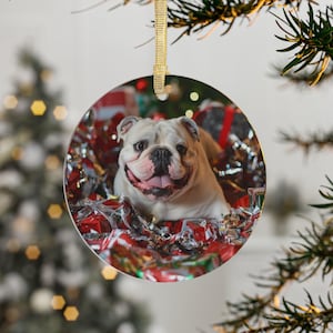 Englische Bulldogge Weihnachten - 8 - Acryl Ornamente, 1-teilig, 5-teilig und 10-teilig