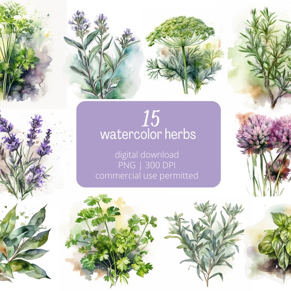 Watercolor Herbs | 15 digital downloads | PNG files | Herb Prints | Lavender | Sage | Rosemary | Cilantro | Chives | Commercial use